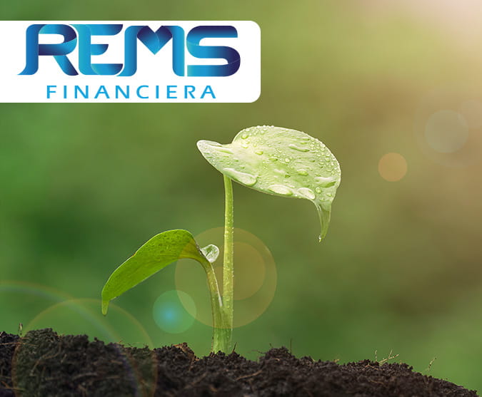 REMS Financiera